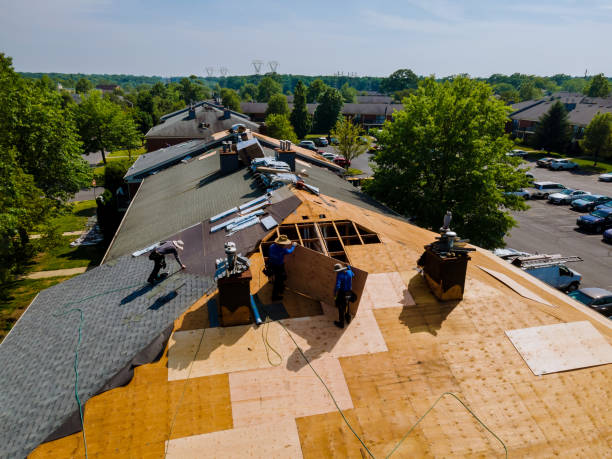 Trusted Roofing service in Bainbridge Island, WA - Brentwood Metal Roofing